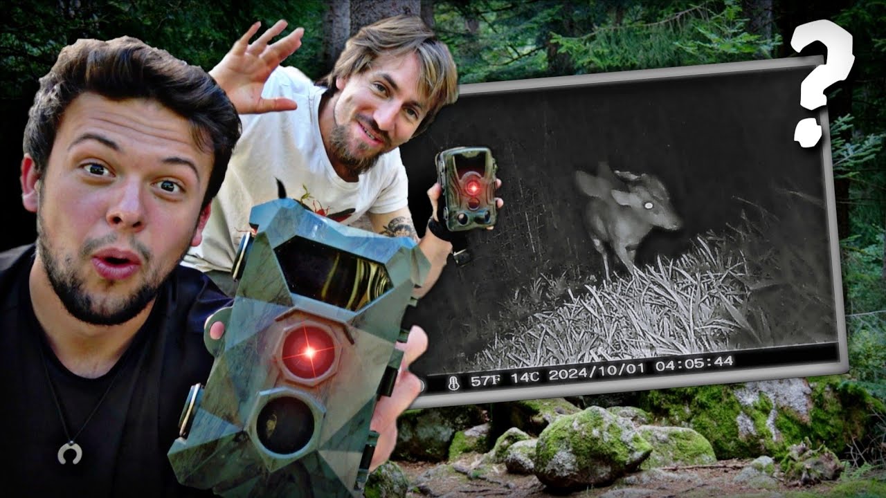 On laisse nos caméras 700h en montagne  BATTLE PIÈGE PHOTO (feat @Arthropsida)