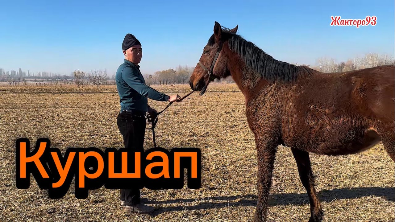 Тайсон Жалпак таштын Эн Кучту Аты +996-708-991-364 