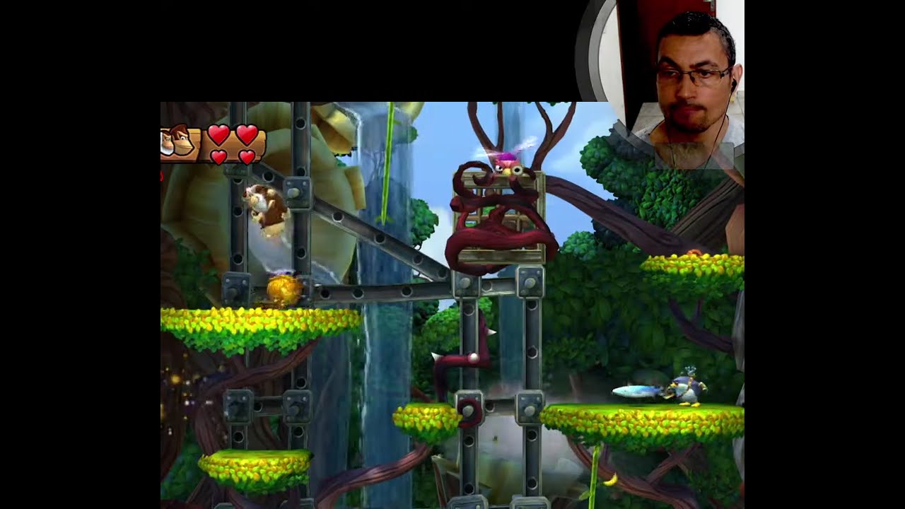 1-3 Canopy Chaos, Puzzles & letters, DKC Tropical Freeze