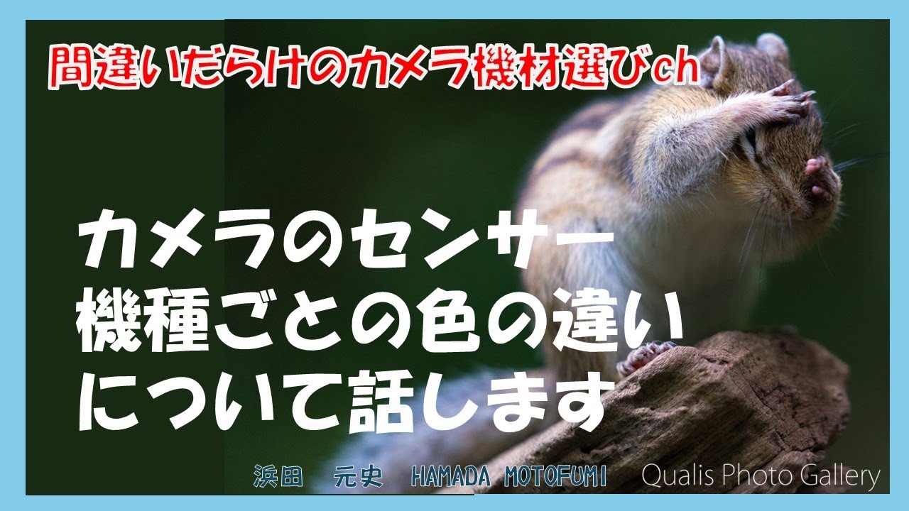 間違いだらけのカメラ機材選びch 「カメラのセンサー機種ごとの色の違いについて話します」