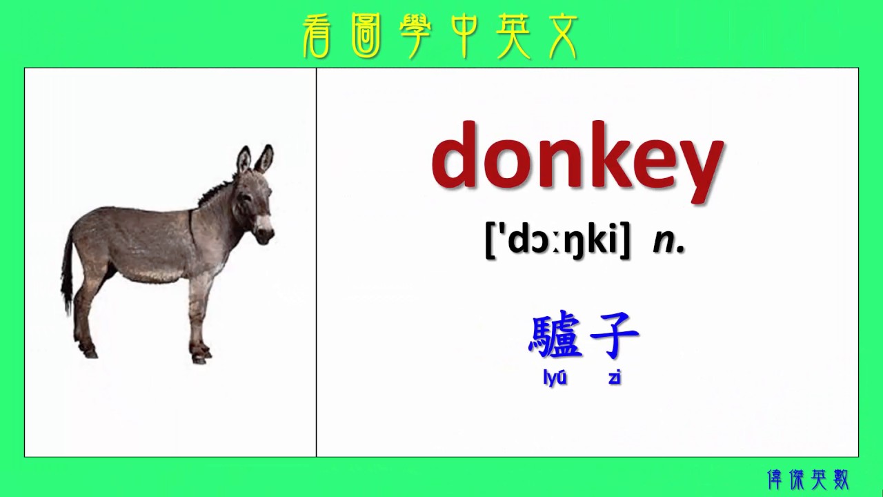 看圖學中英文 13 家畜 (Learning Chinese and English Vocabularies about livestock)