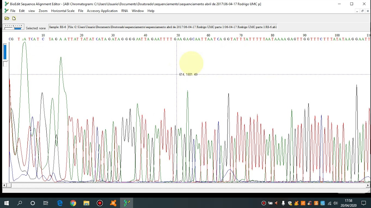Tutorial para Edição de sequências no Bioedit