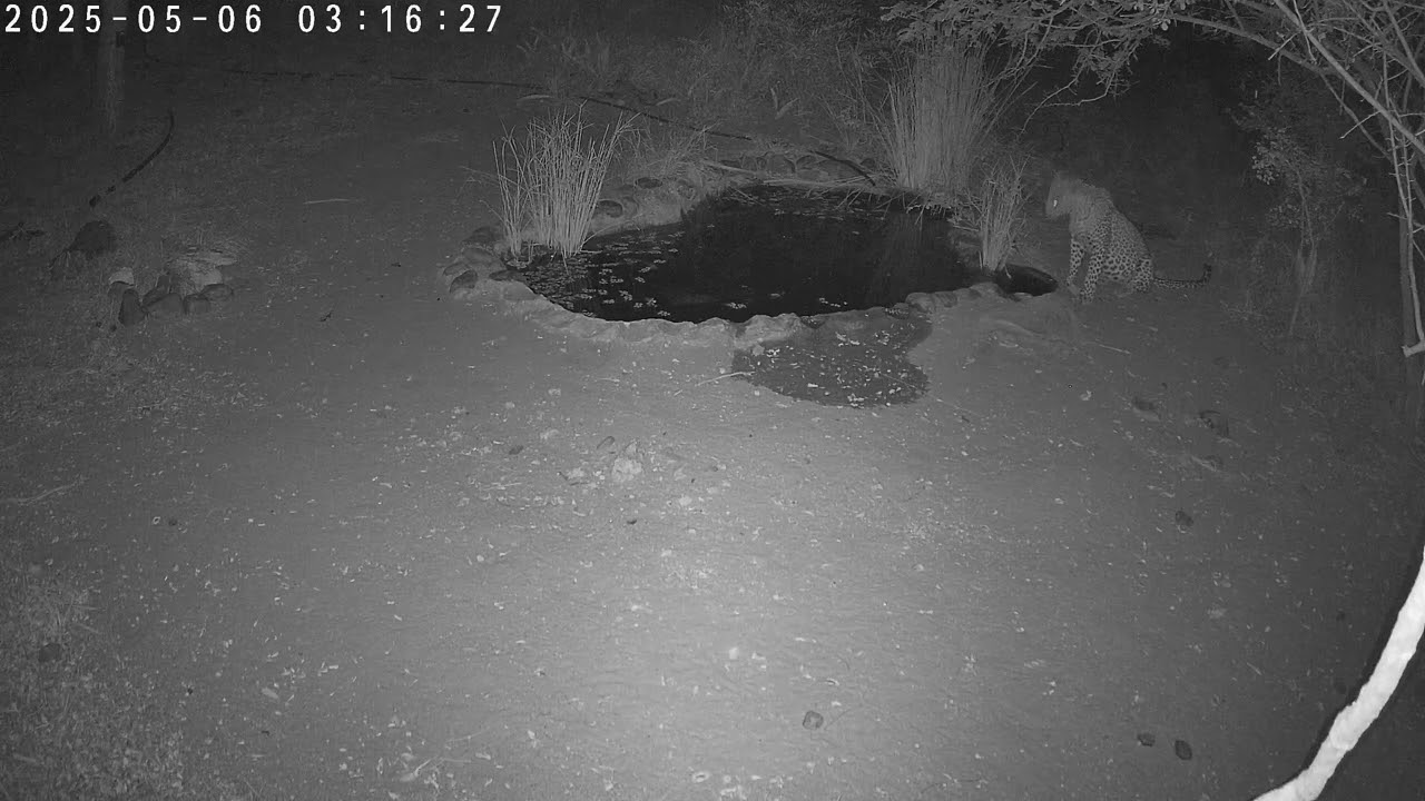 Big Five: A Pondside Pause