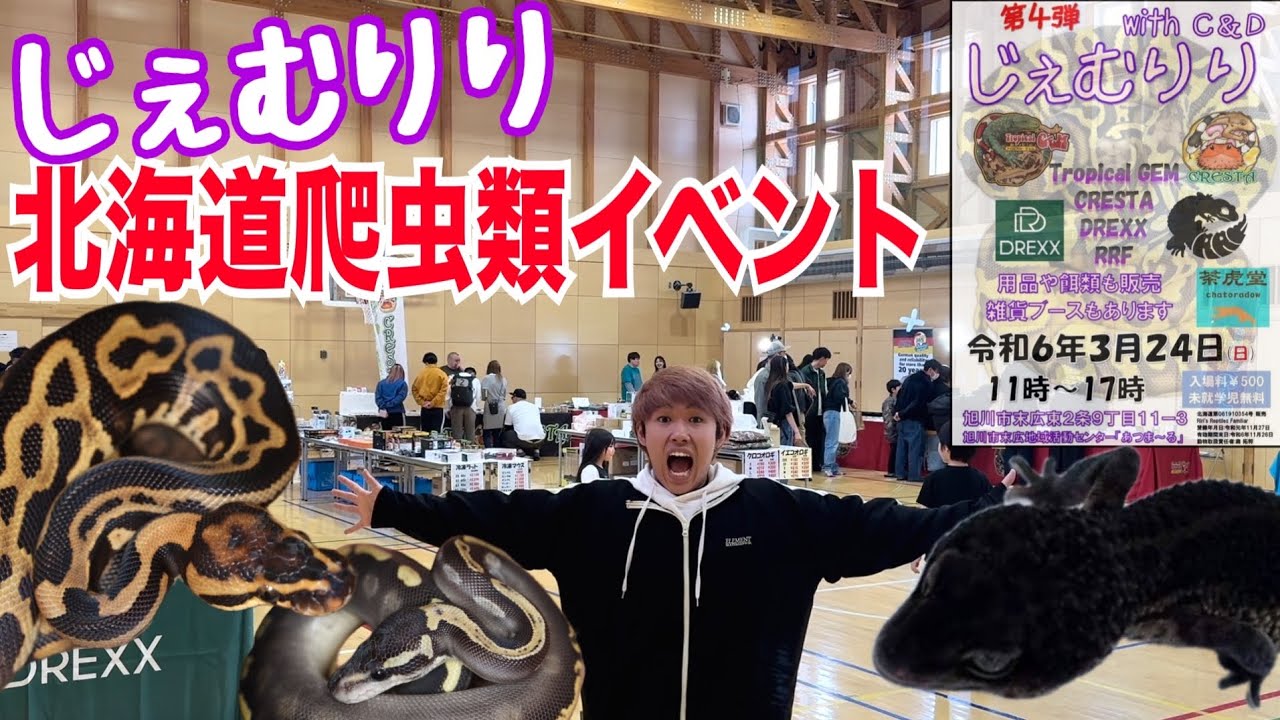 北海道の爬虫類イベントに潜入したら高額生体だらけで大興奮w w w w w