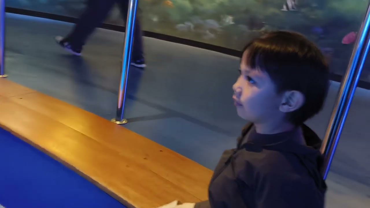 BxSEA Bintaro  Seaworld Aquarium Bintaro Jakarta Walk-in Tour 2026 Terbaru!