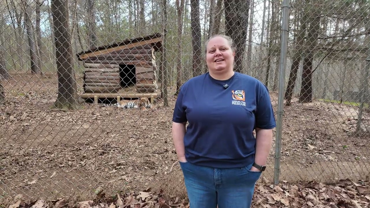 Operation Flight to Sanctuary: Mission Accomplished!