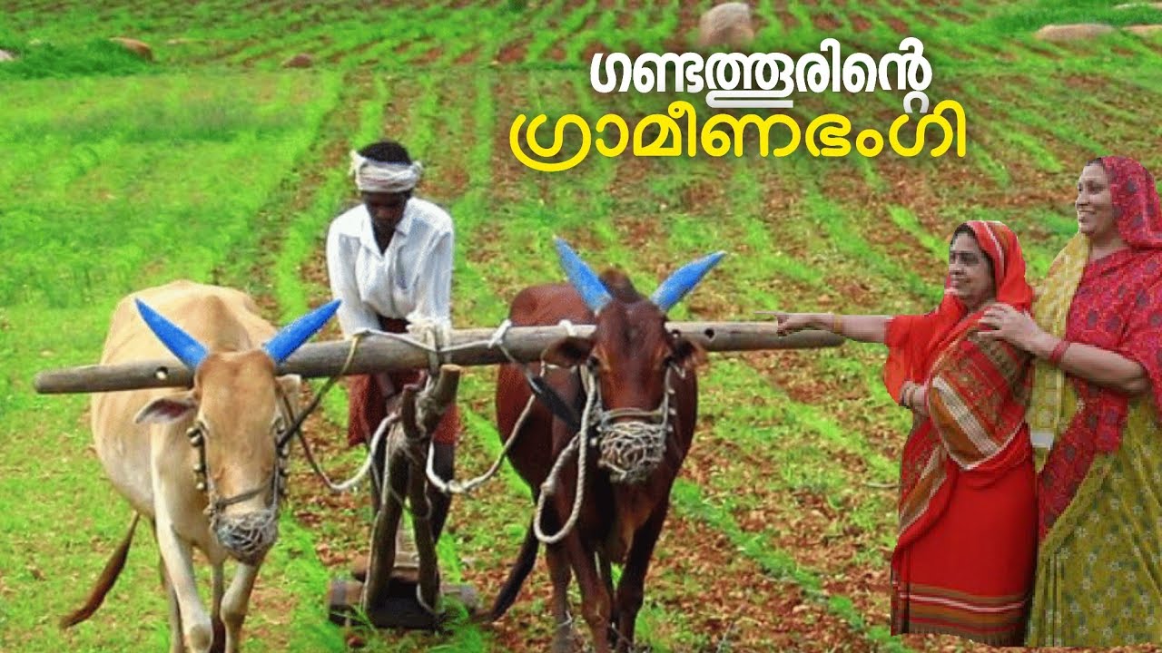 മലയാളികളെ ഇഷ്ടപെടുന്ന ഒരു കന്നഡ ഗ്രാമം..