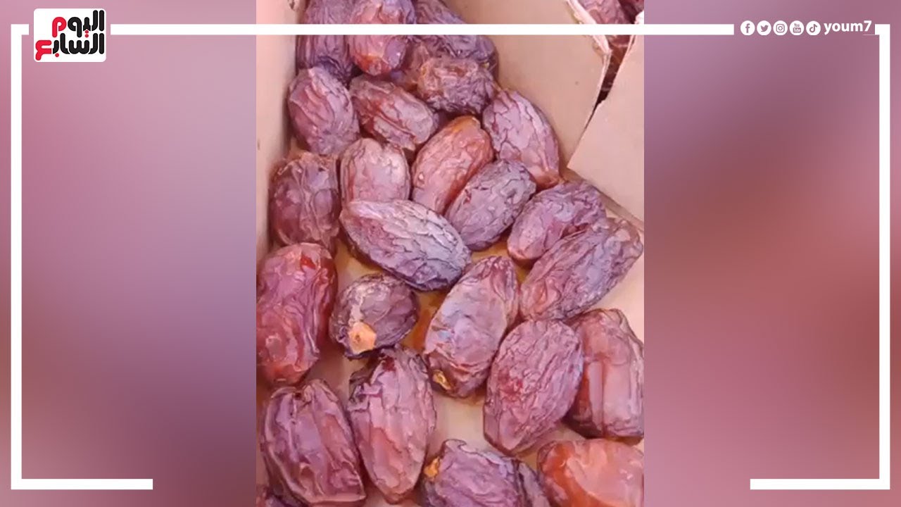 أغلى نوع بلح فى مصر.. الواحدة بـ 20 جنيها والكيلو بـ 350.. شوف اسمه وشكله