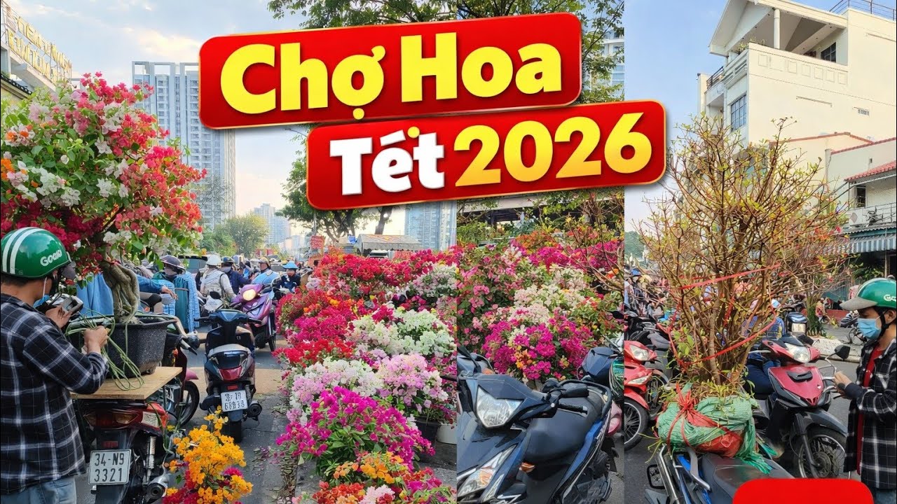 Vỡ Trận Chợ Hoa Bến Bình Đông Nhà nhà đi mua hoa rẻ chơi tết nhà vườn vui ra mặt