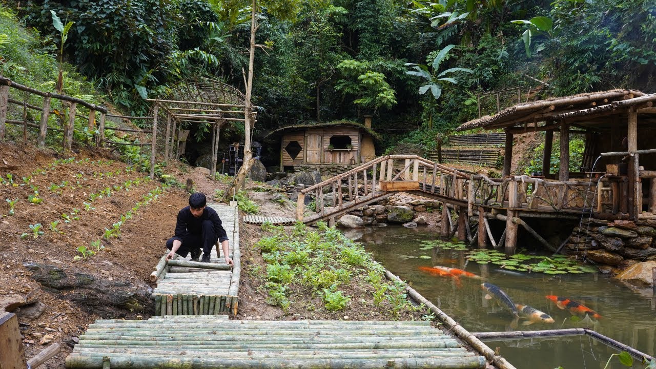 Life off the grid. Renovating the garden and growing vegetables. Paving the pathways with bamboo.