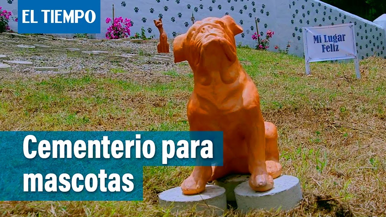 Un cementerio para despedir a nuestras mascotas | El Tiempo