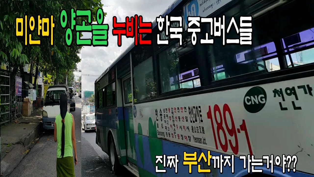 미얀마 양곤을 누비는 한국 중고버스 들,미얀마로 수출한 한국 시내버스_국뽕에 빠져드는 영상