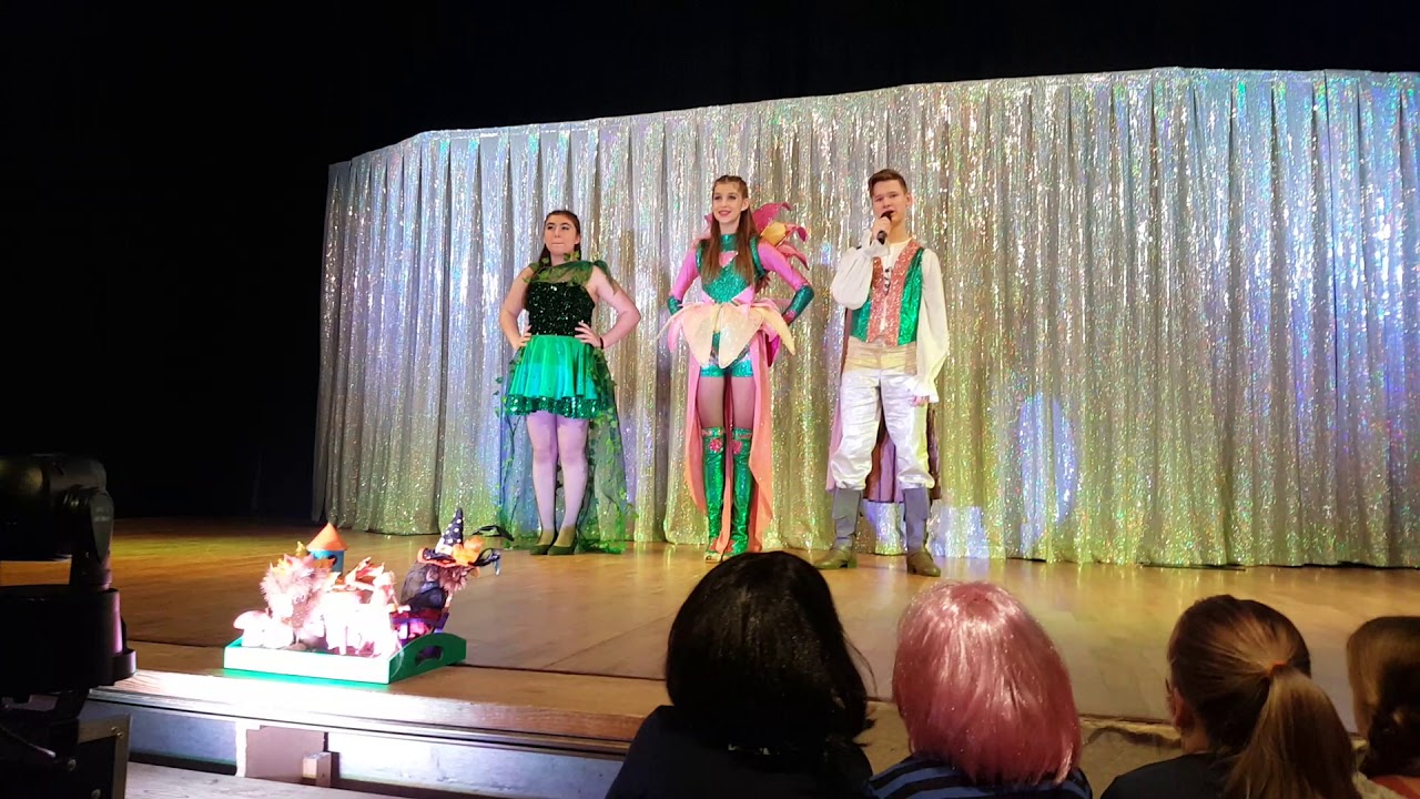 NARRNEUSIA Kinder & Jugend Showtanzgruppe 2018