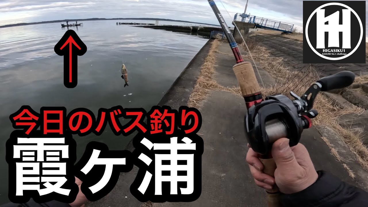 バス釣り霞ヶ浦！プロもお気に入りのポイントに‥2026年2月6日