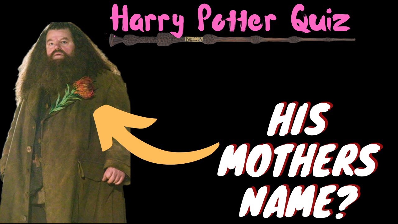 Ultimate Hagrid Quiz | Harry Potter Universe Quiz