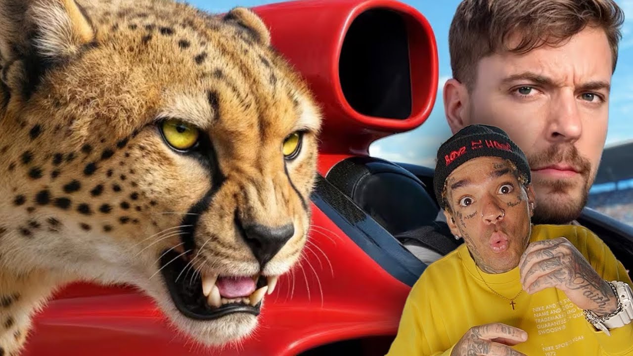 World's Fastest Car Vs Cheetah! @MrBeast [reaction]