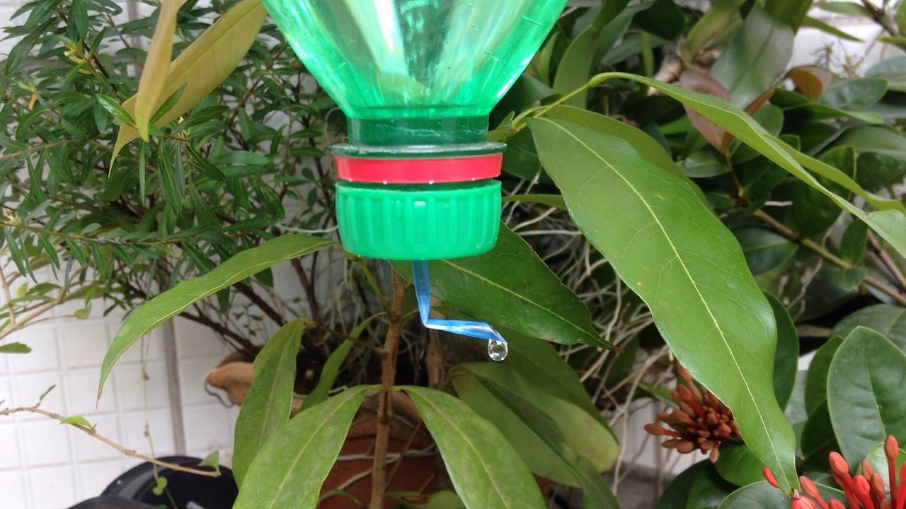 Como Fazer um Gotejador com Garrafa Pet, o mais simples, fácil e Barato para fazer!