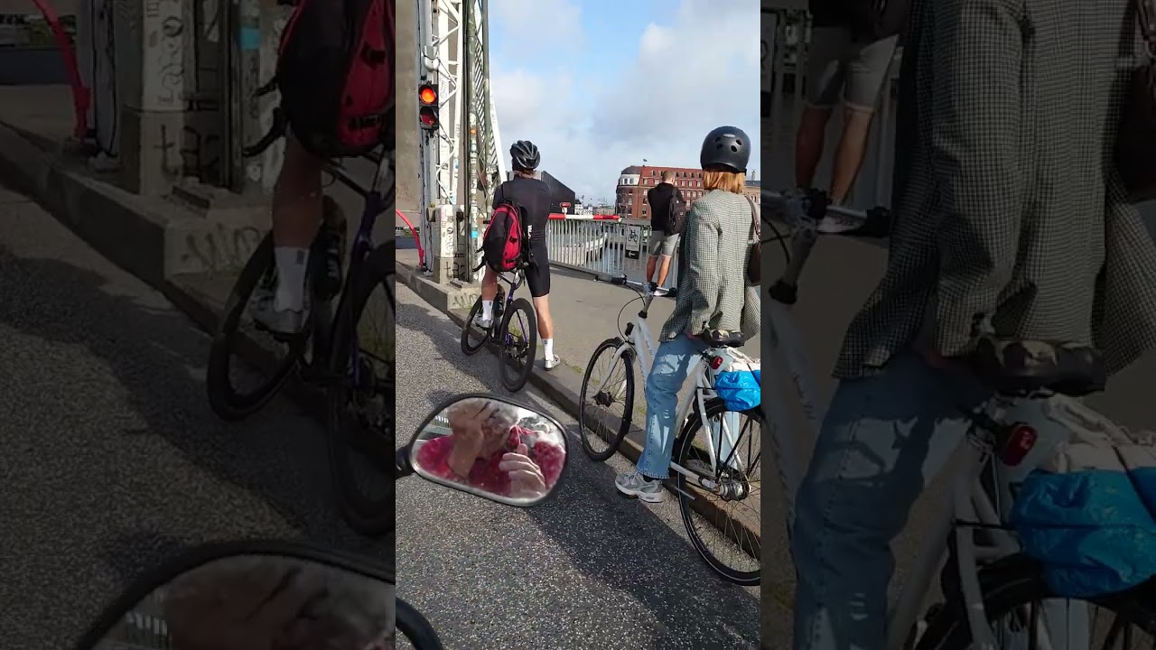 Knippelsbro opened