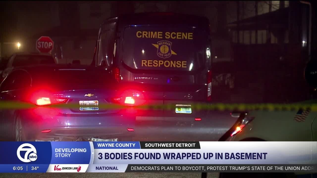 3 bodies found wrapped in towels & carpeting in basement of Detroit home, sources say