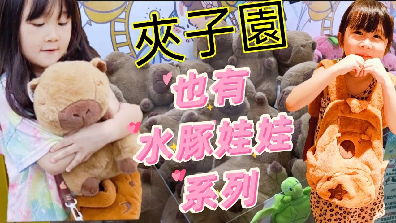 『娃娃機日常』趁今天不用排戲～帶孩子們來夾水豚～一次夾好夾滿【吳懷中 小龜 夫妻生活日常VLOG】