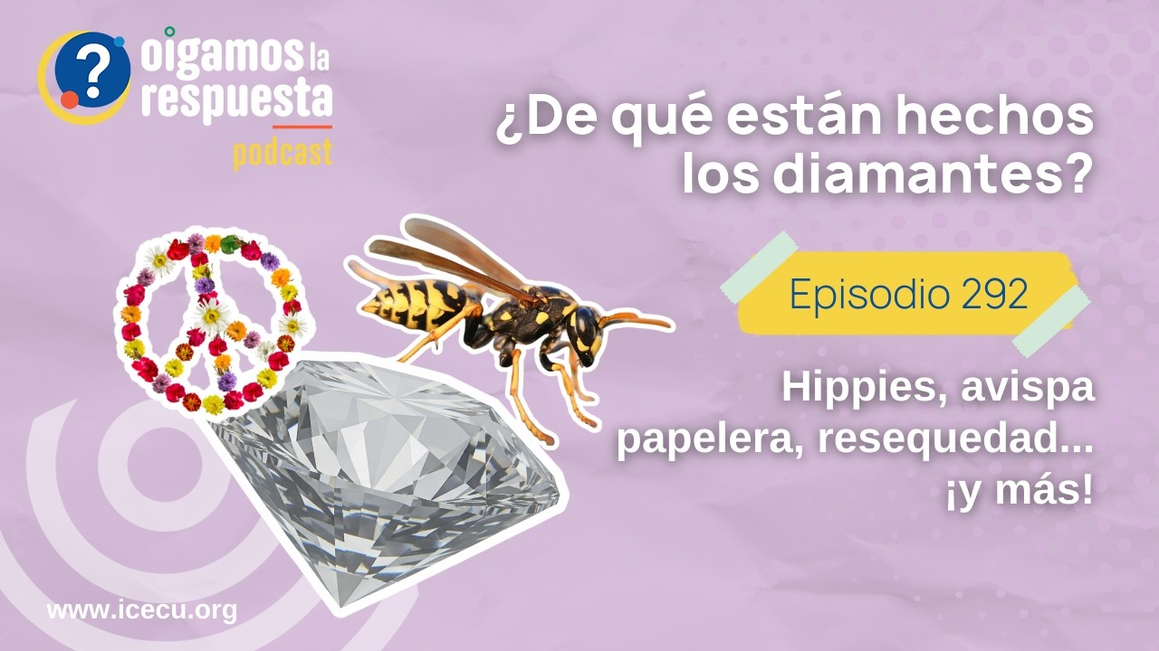 Ep 292: Programa del Recuerdo 2012