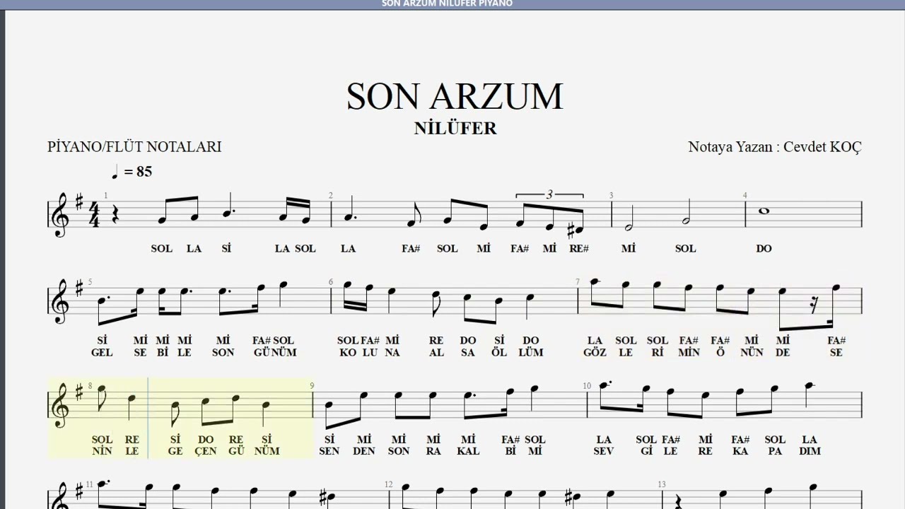 SON ARZUM NİLÜFER NOTA