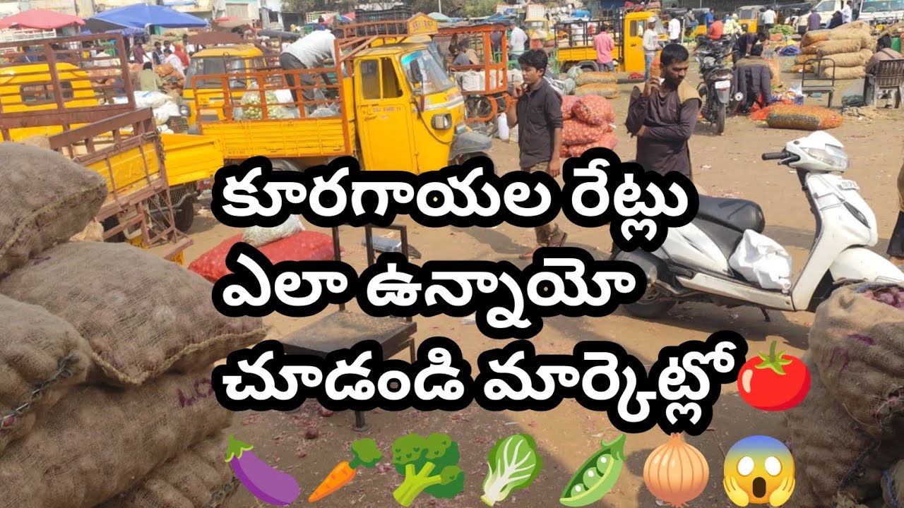 Today gudimalkapur market prices  vegetable 🍆 prices🍅 tamato 🧅🫛🥬🥦🥕🥒