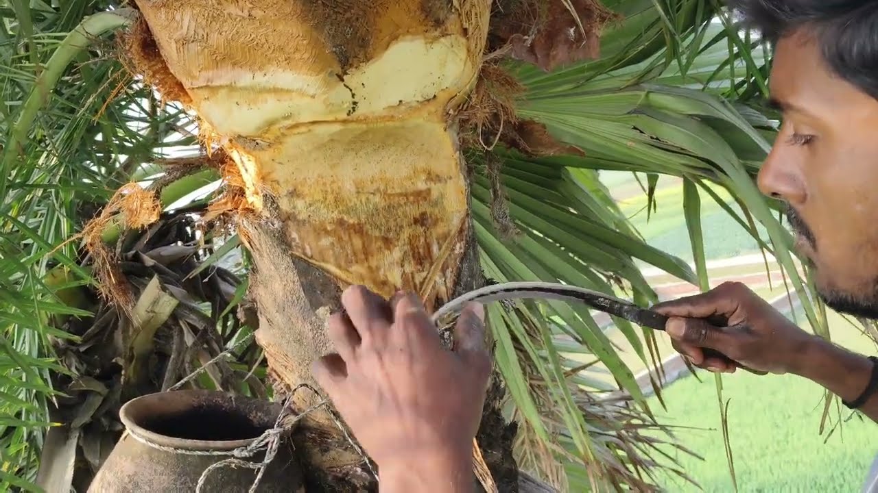 Khujer ka Rass 🏝️🥛 My YouTube Vlogs 