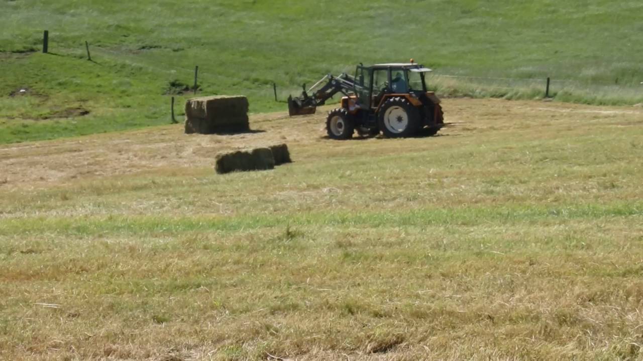 Ramassage de botte carré dans le Cantal 15 Parti 2