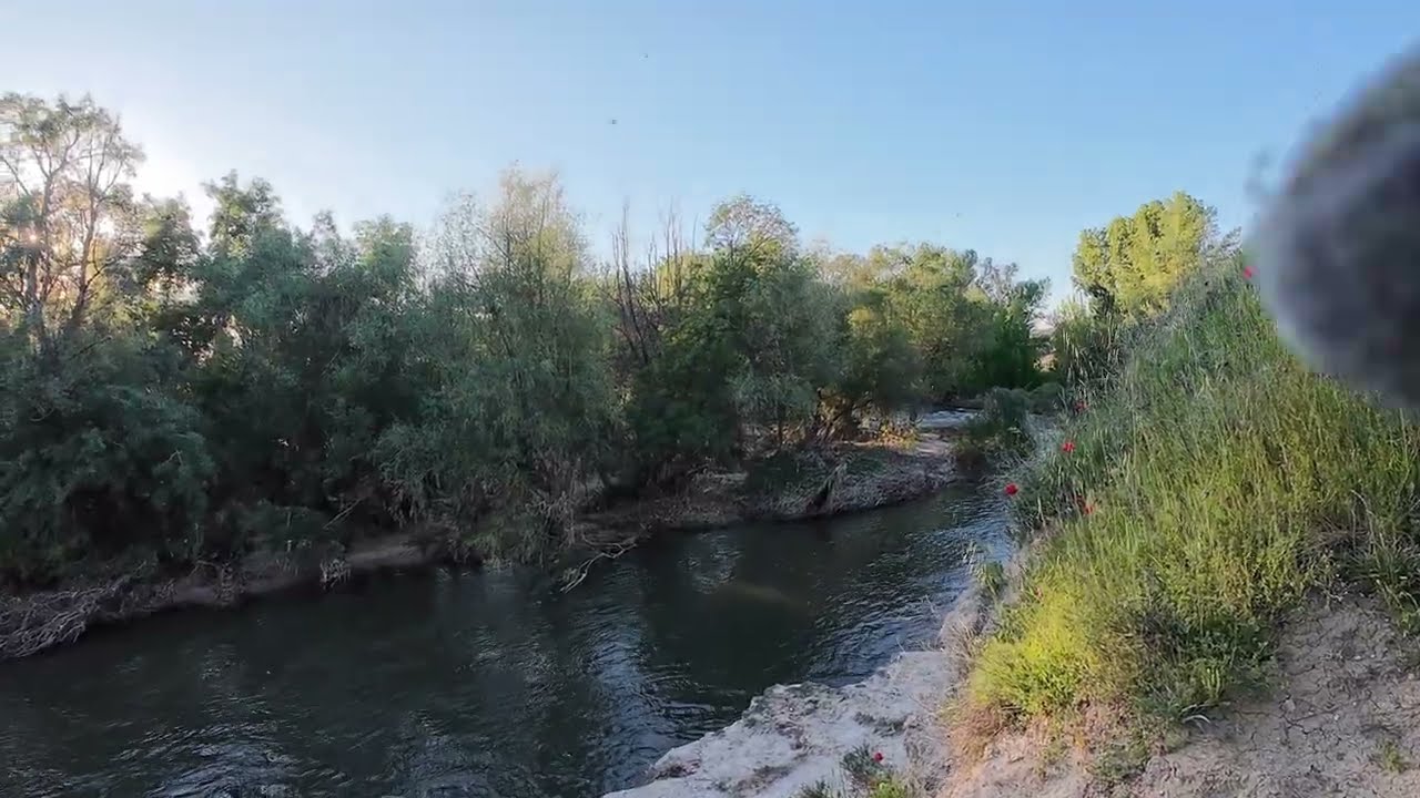 Globeradas varias por Paracuellos