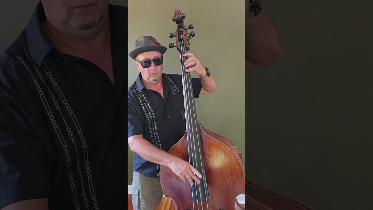 Double Bass for Sale - Bohemian Laminate 1968 Pizz