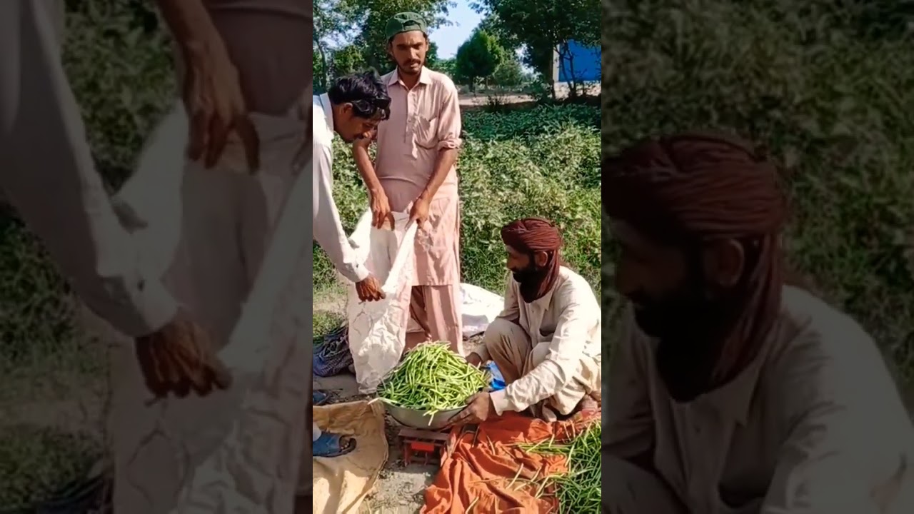 Sabzi Mandi in Bangla Manthar