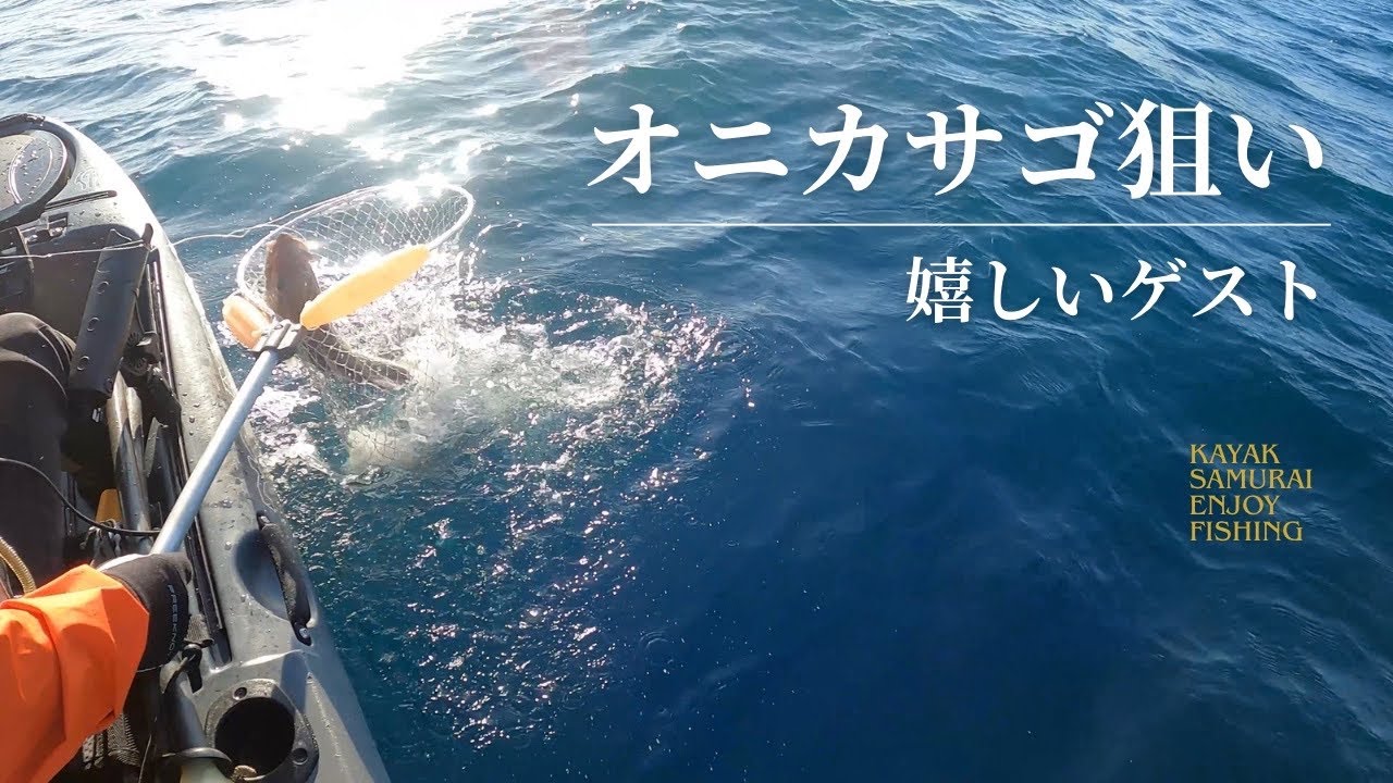 【中深海】オニカサゴに挑戦｜サメかと思ったら嬉しいゲスト｜２月｜