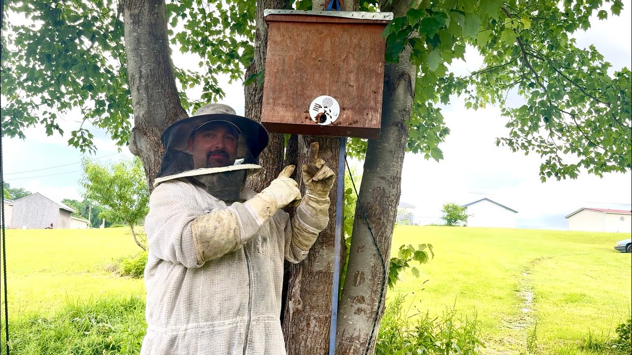 Swarm catch. How to move them.