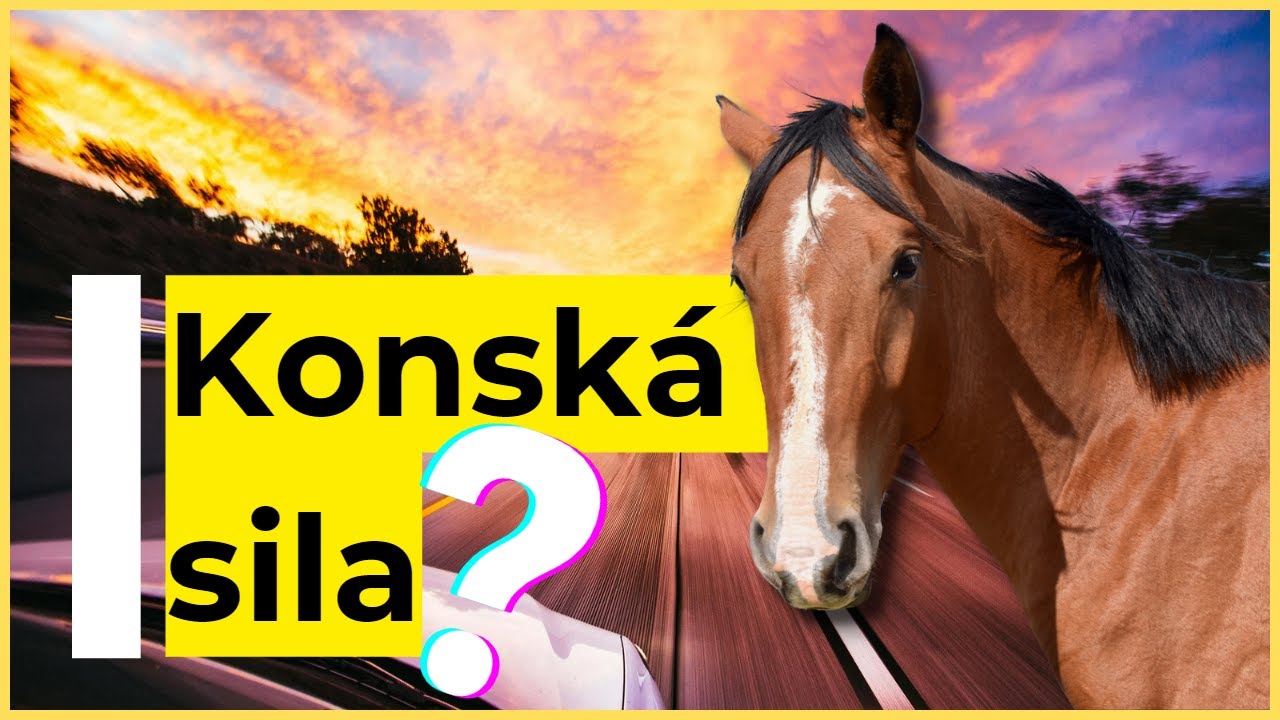 Koľko KONSK&Yacute;CH S&Iacute;L m&aacute; vlastne K&Ocirc;Ň?