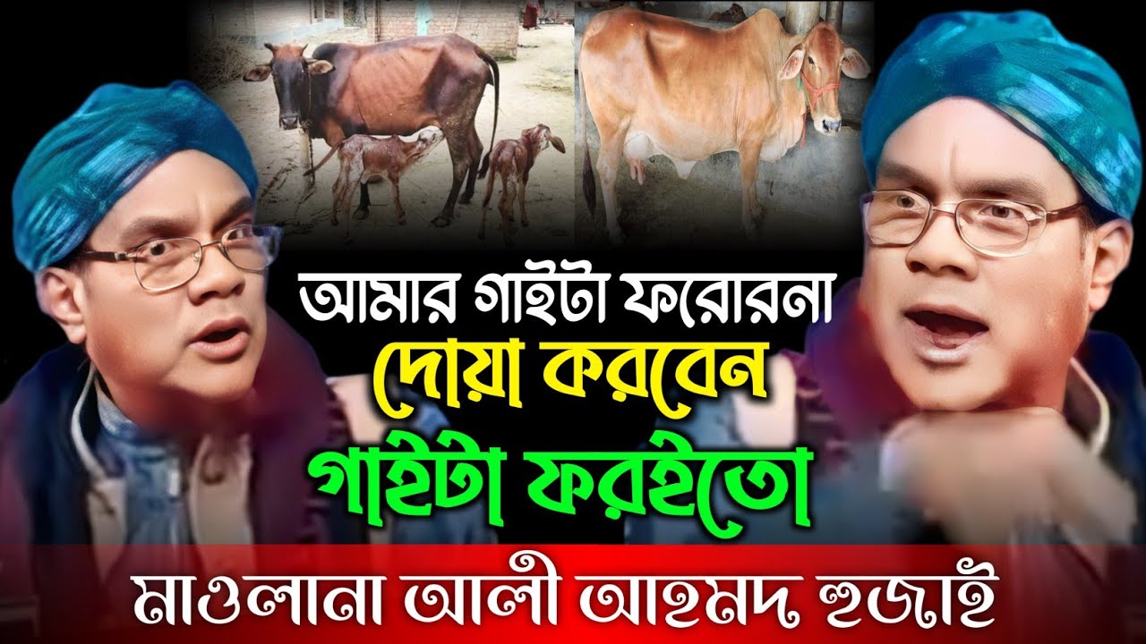 আমার গাইটা ফরোরনা দোয়া করবেন গাইটা ফরইতো | Maulana Ali Ahmed Hojai | Viral Ali Ahmed Hojai | Waz
