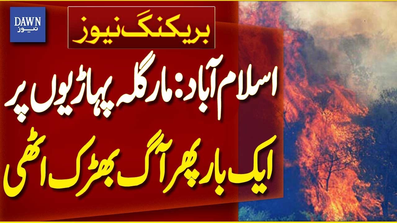 Islamabad: Fire Breaks Out Again in Margalla Hills | Breaking News | Dawn News