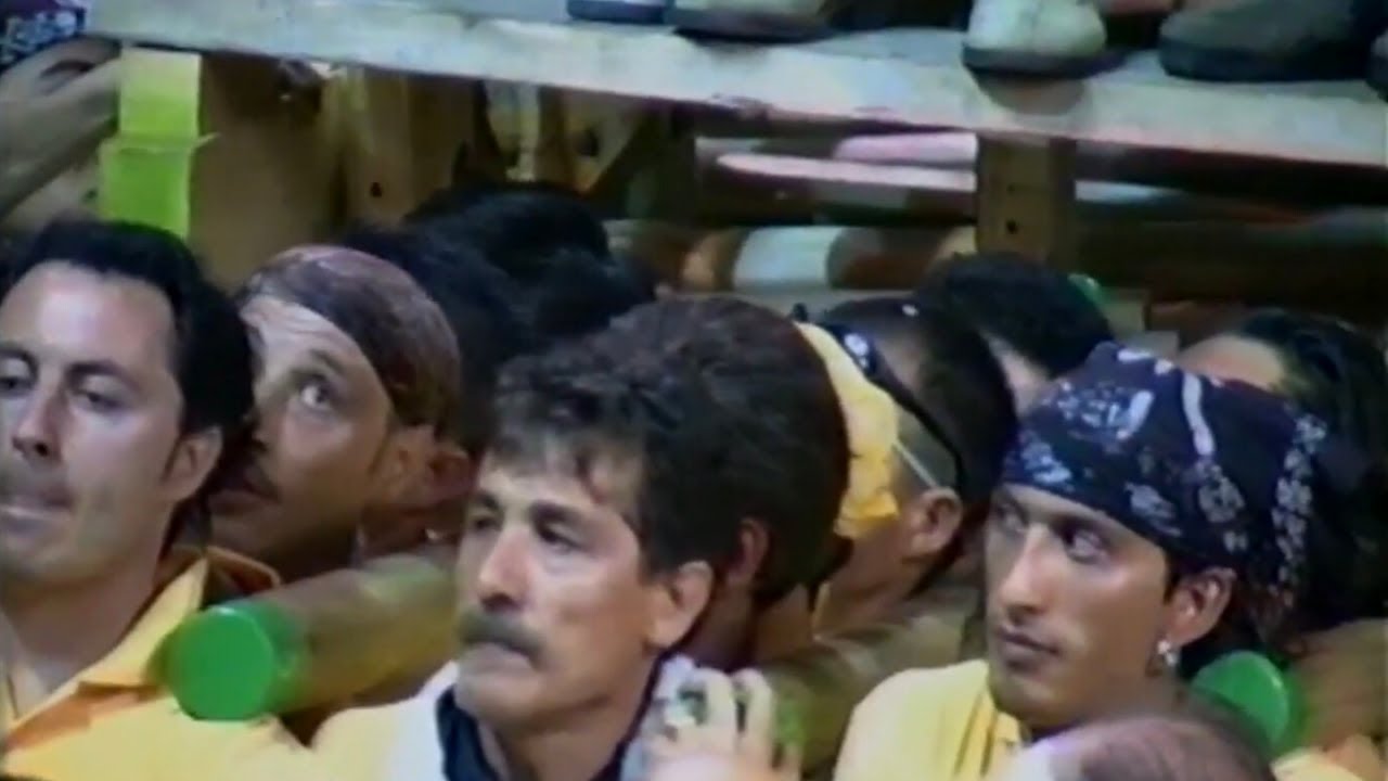 BECCAIO 2000 - CASTAGNINI ALLE CARCERI
