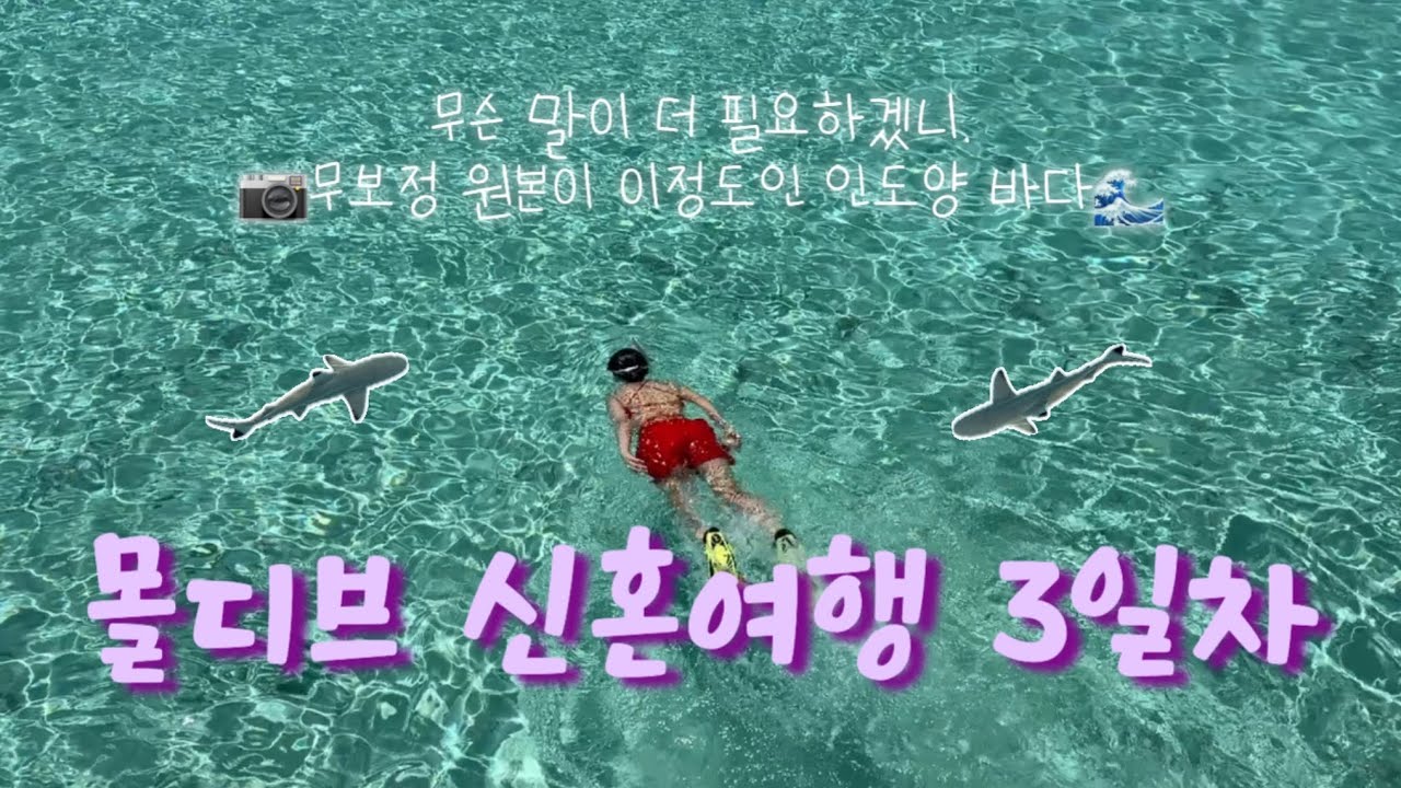 몰디브 신혼여행 ep.3🏝️/ #마푸시바루 #스노쿨링 