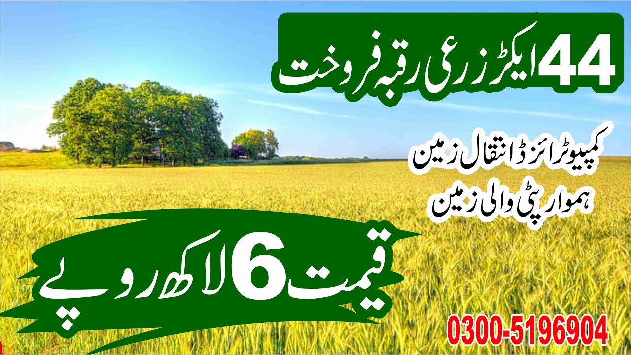 44 Acre Agriculture Land For Sale in Punjab Pakistan | Best Land Investment Opportunity