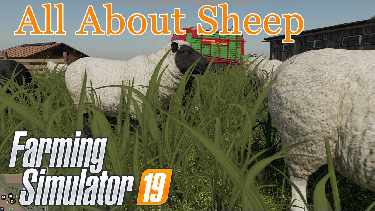 Farming Simulator 19 | An In-Depth Guide to Raising Sheep | A Tutorial