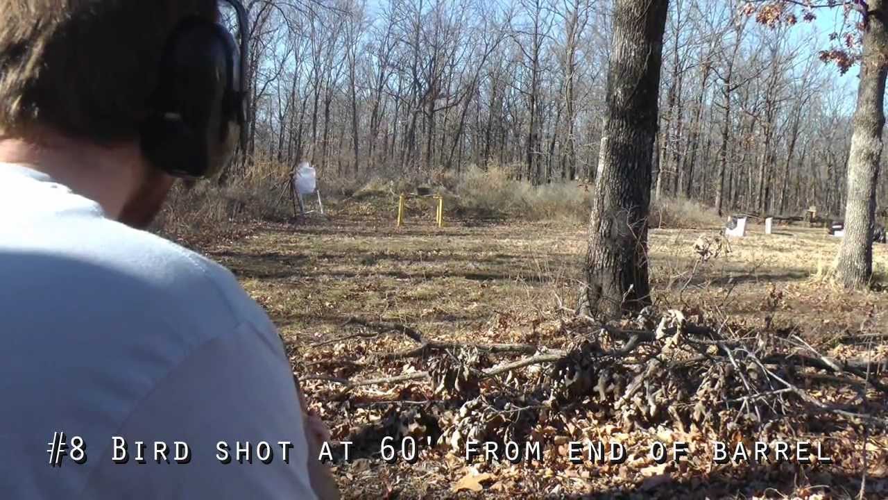Birdshot vs Leather Jackets