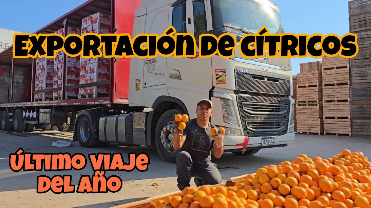 CÓMO ES CARGAR NARANJAS? 🍊