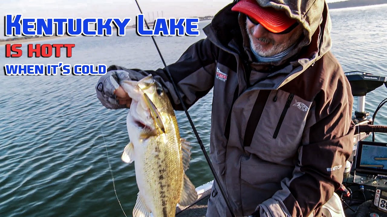 Kentucky Lake Bass go CRAZY over a JERKBAIT in the SPRING