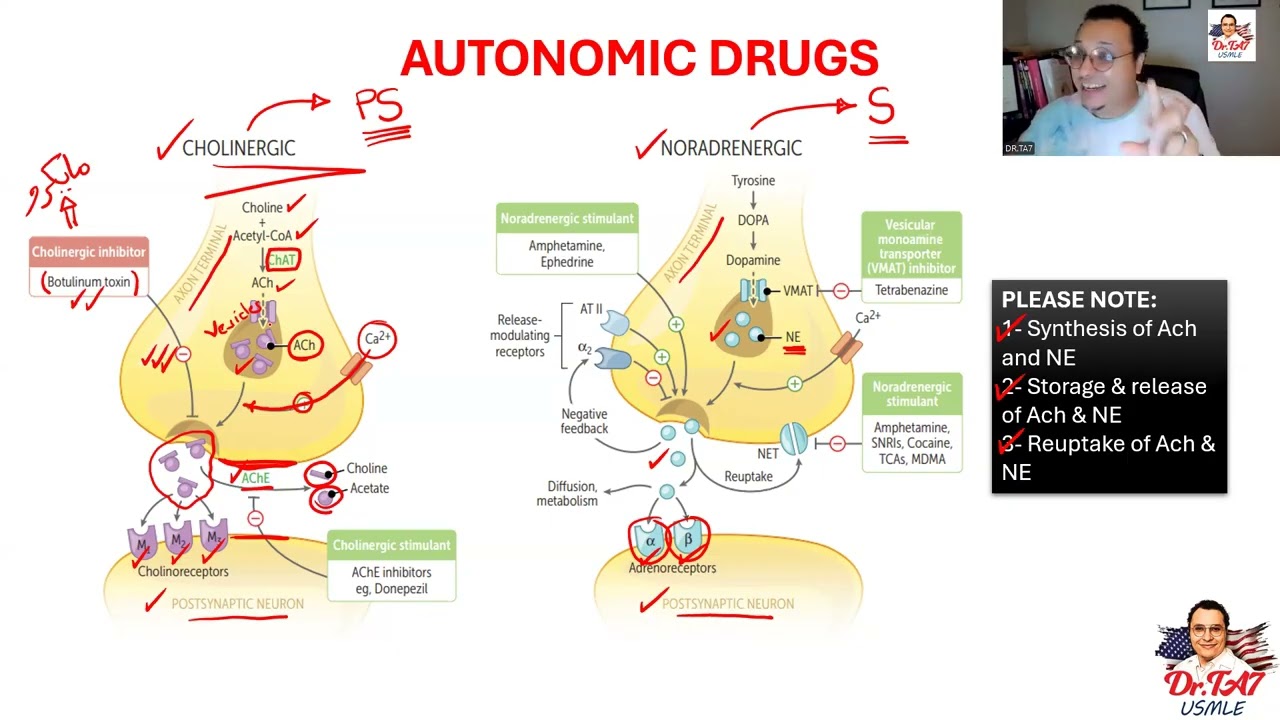 DR TA7: ANS PHARMACOLOGY 2