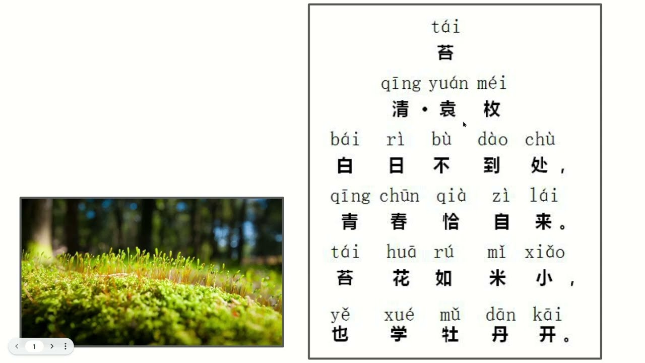 Please listen to the teacher read and explain Yuan Mei&lsquo;s poem《苔》请听老师朗读并讲解清代诗人袁枚的古诗《苔》