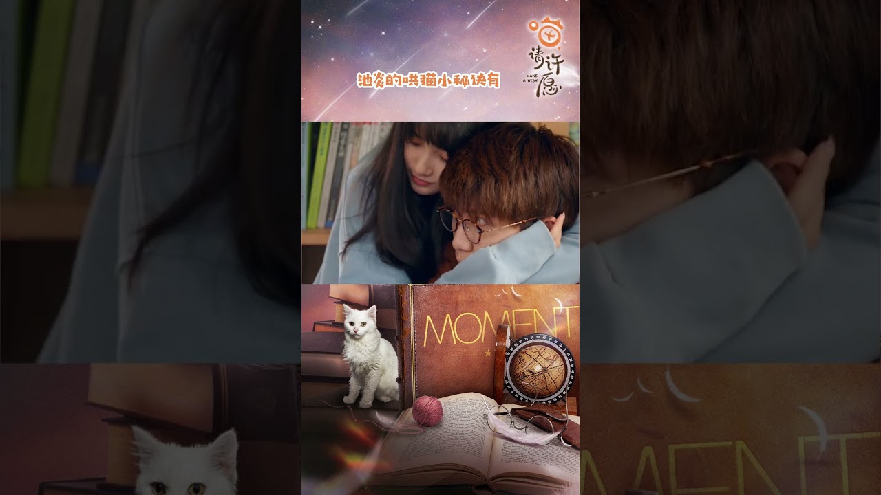 🐱小猫咪太粘人了怎么办！康康池炎的撸猫小妙招 | Make a Wish | iQiyi Romance