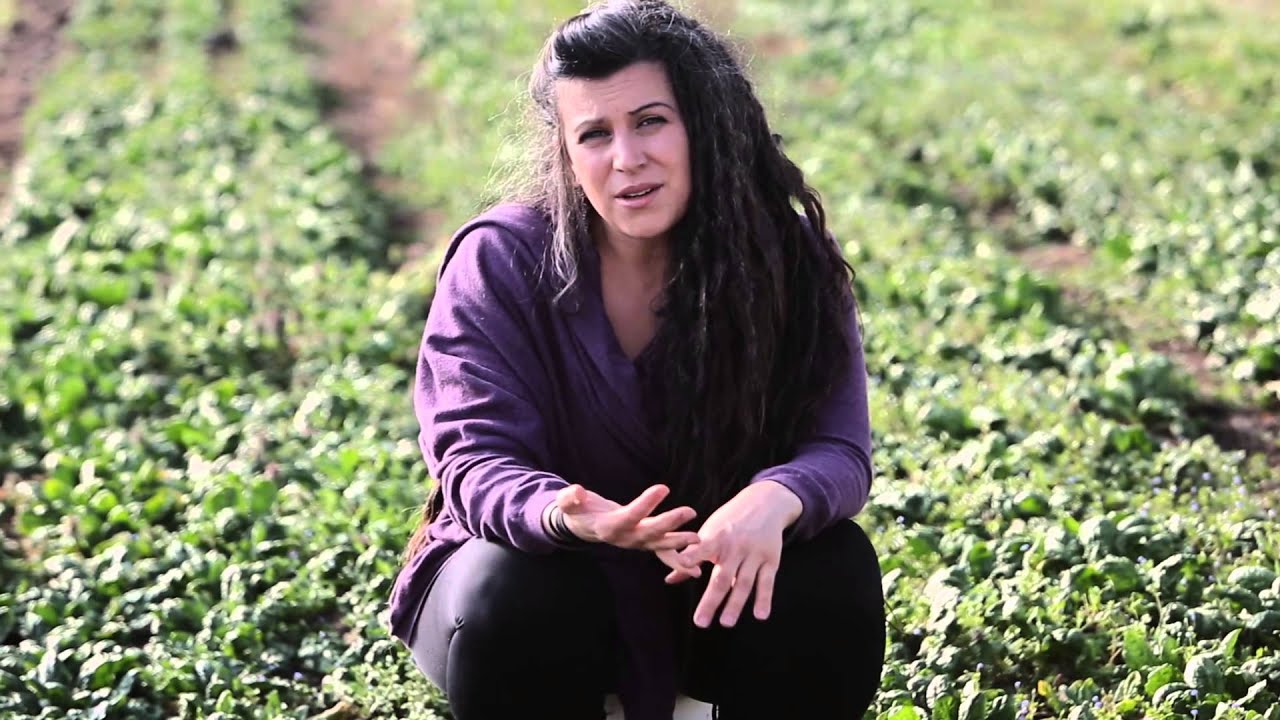 The Upstate Terroir Project