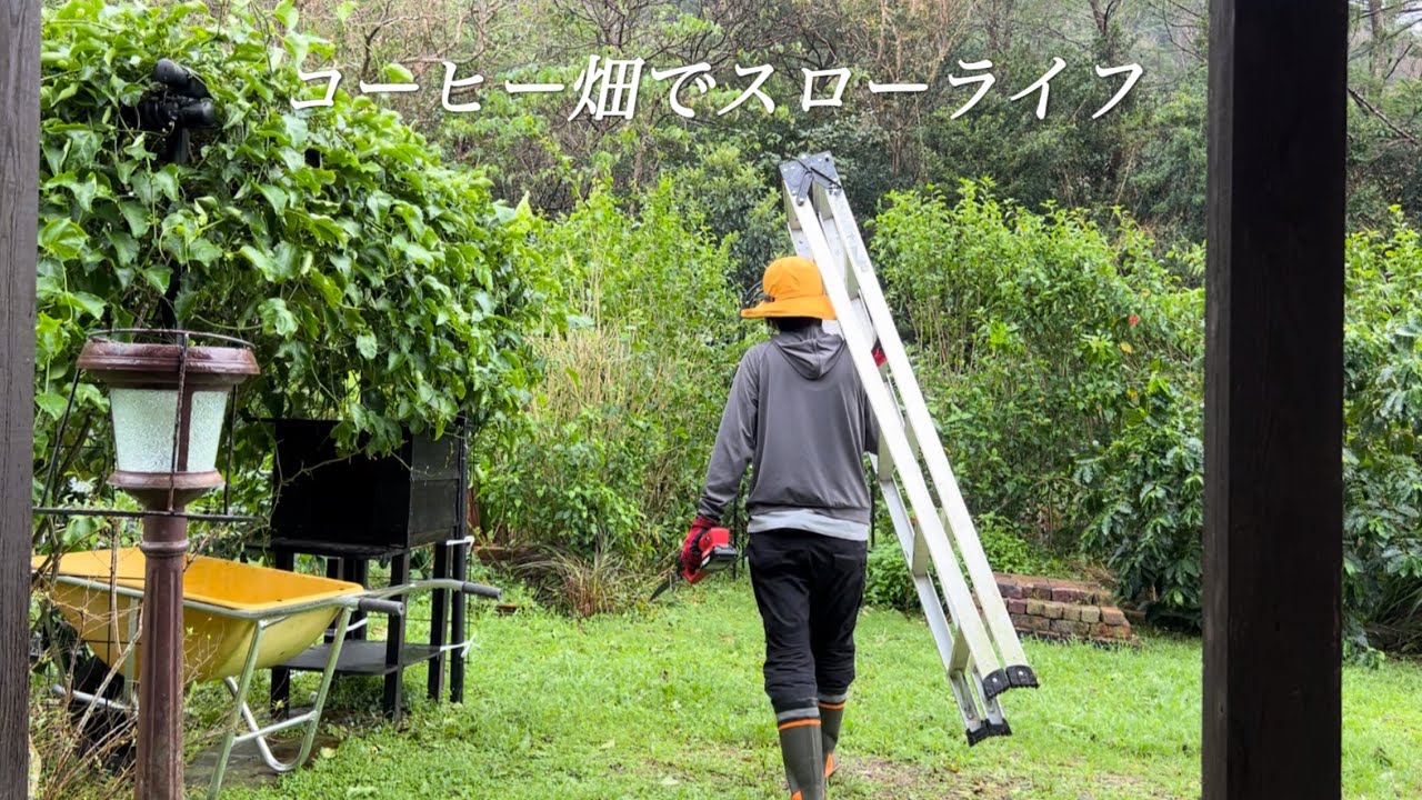 【60代女性】心は前に進んでます。/台風被害からコーヒー畑再生へ/ 見守られる幸せと感謝。