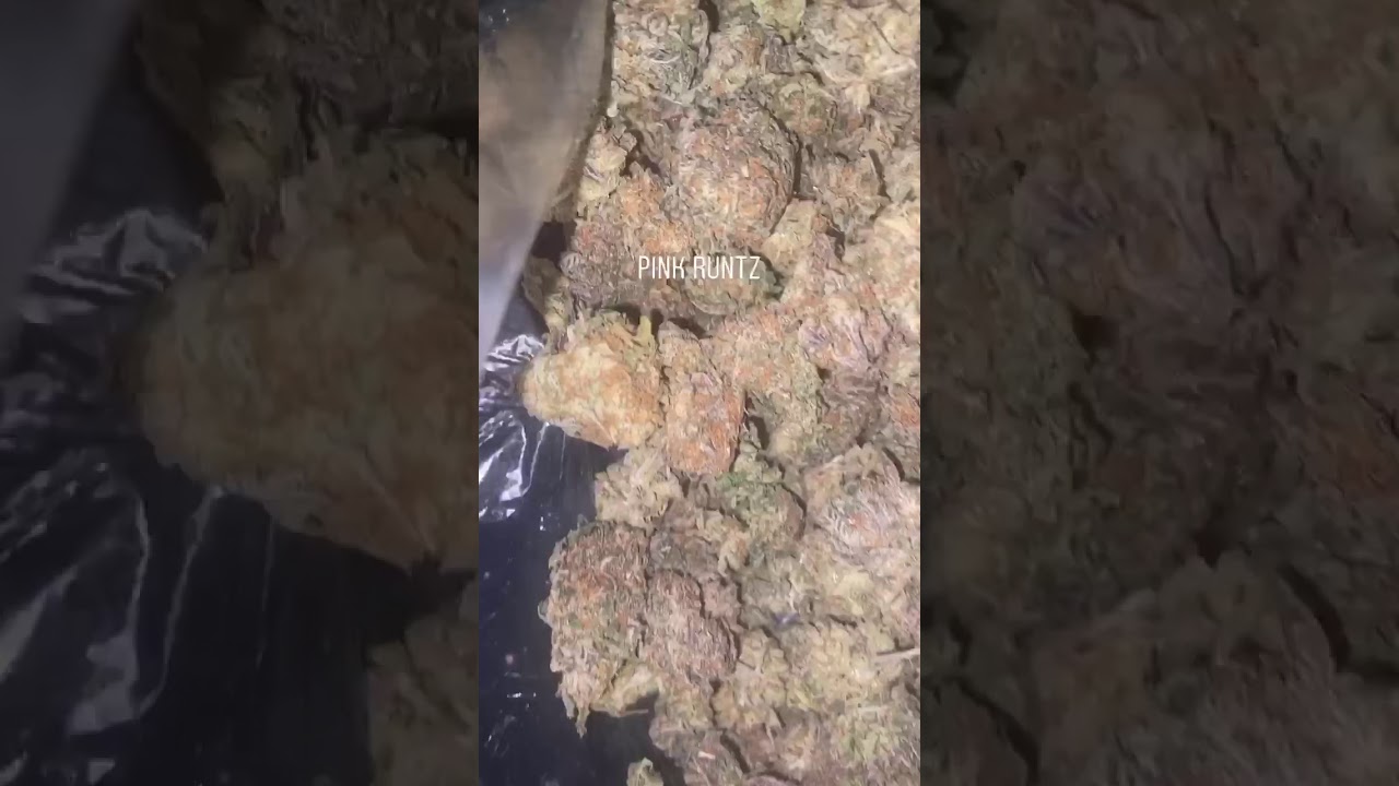 Pink Runtz